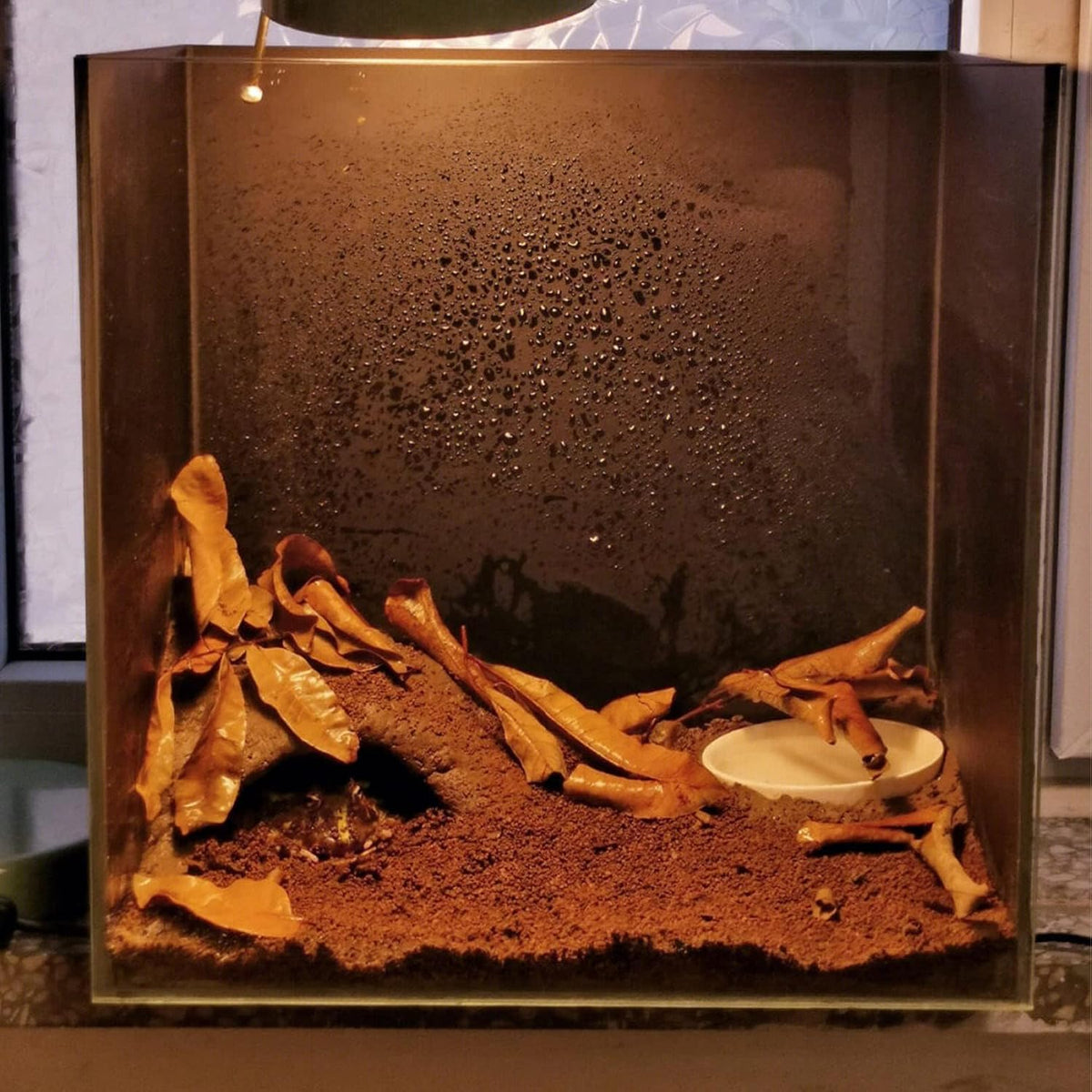 Bnosdm natural terrarium soil label detail