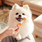 MON2SUN high protein dog snacks interactive play setup