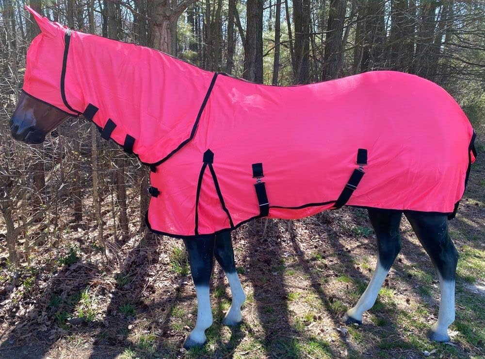 Rugged Ride horse fly sheet with attached neck cover side view
