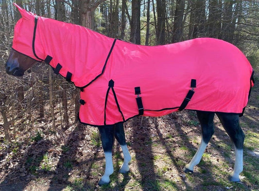 Rugged Ride horse fly sheet with attached neck cover side view