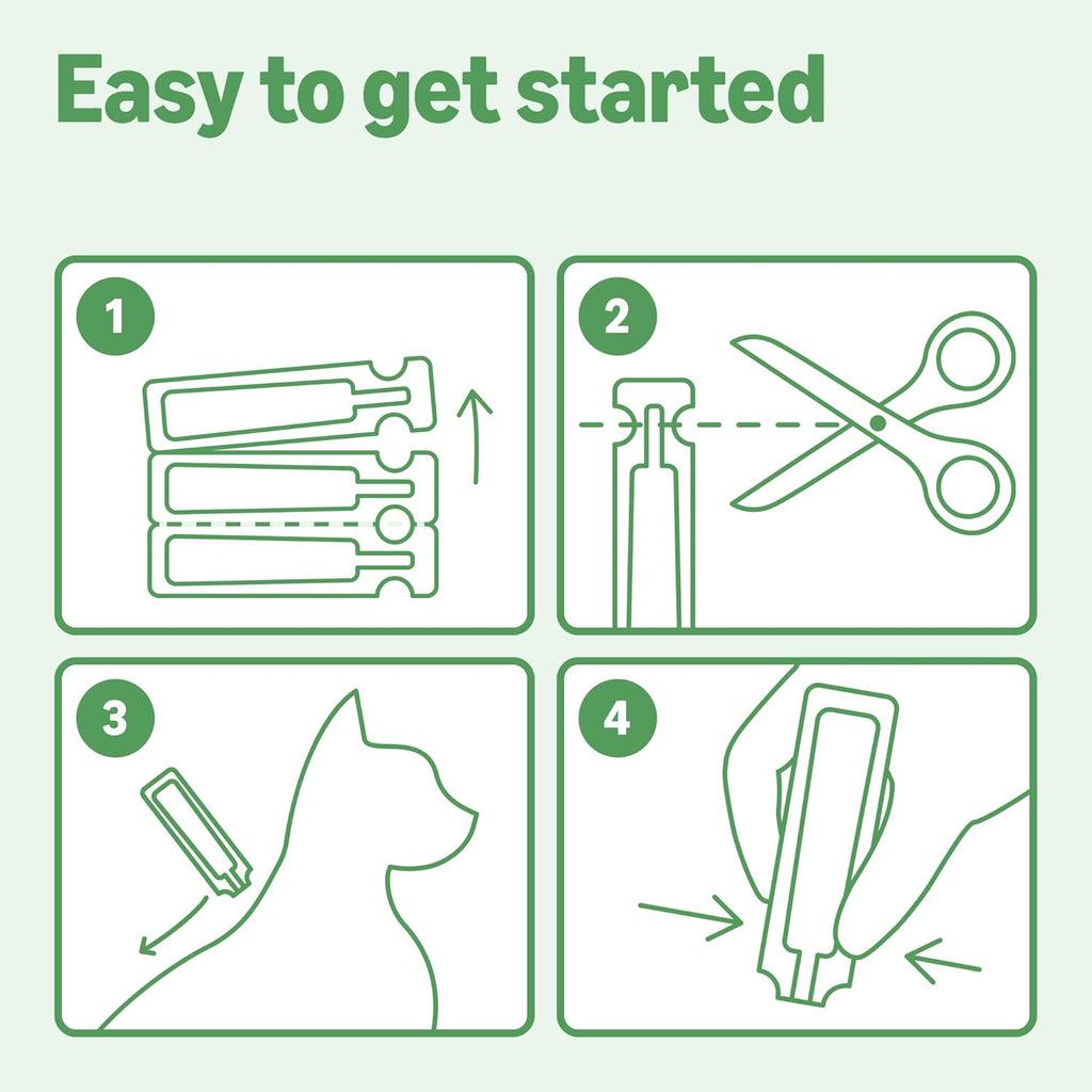 USA imported fast acting tick control for cats application demonstration