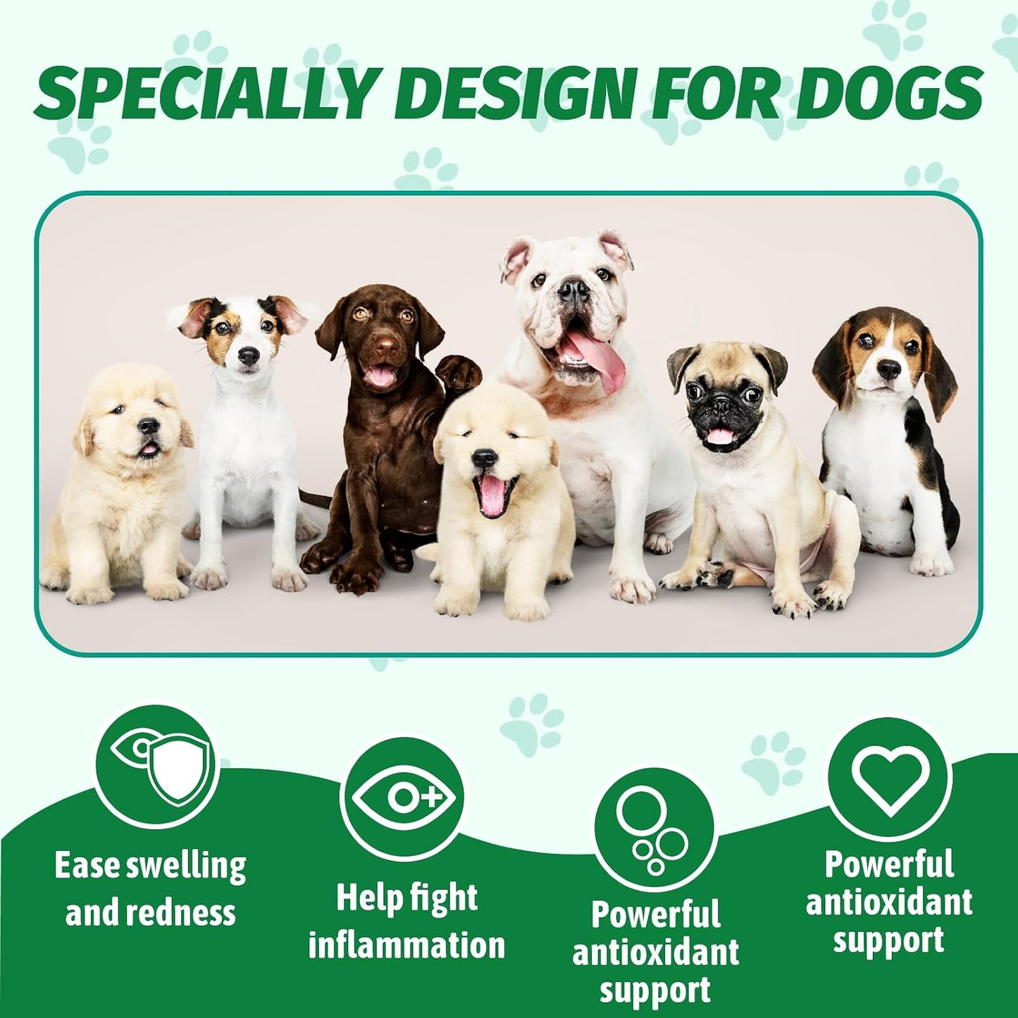 VetaSure canine eye care supplement bottle back label details and instructions