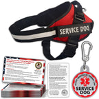 Pelto service dog vest harness set front view with reflective straps.