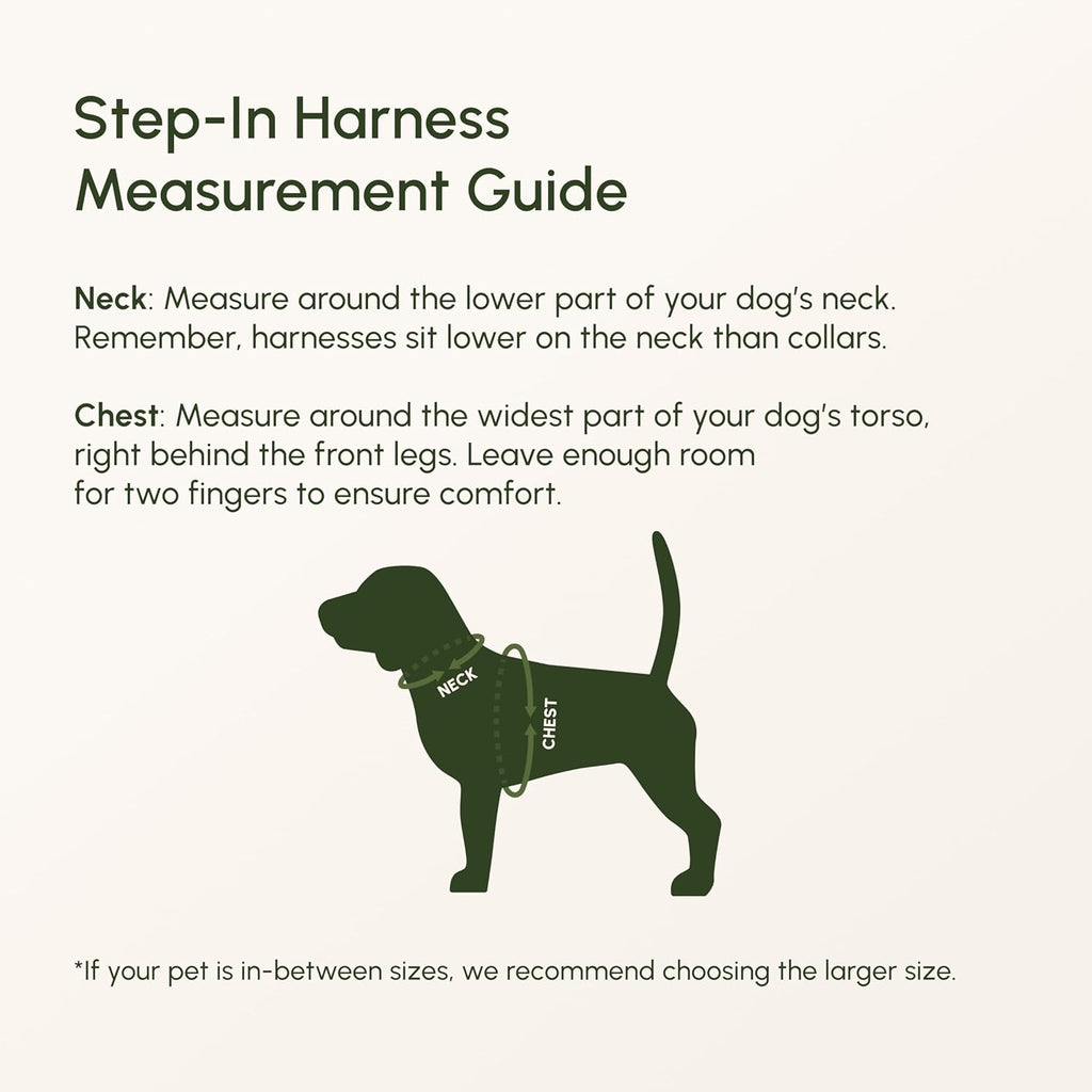 Breathable air mesh puppy harness with dual metal D rings