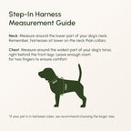 Breathable air mesh puppy harness with dual metal D rings