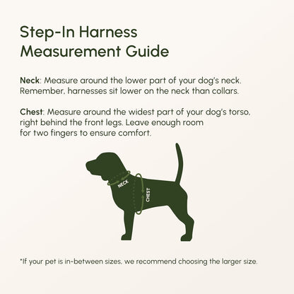 Breathable air mesh puppy harness with dual metal D rings