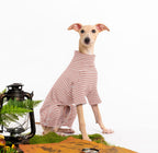 Haloumoning pullover knitwear for small dogs close up on textured fabric