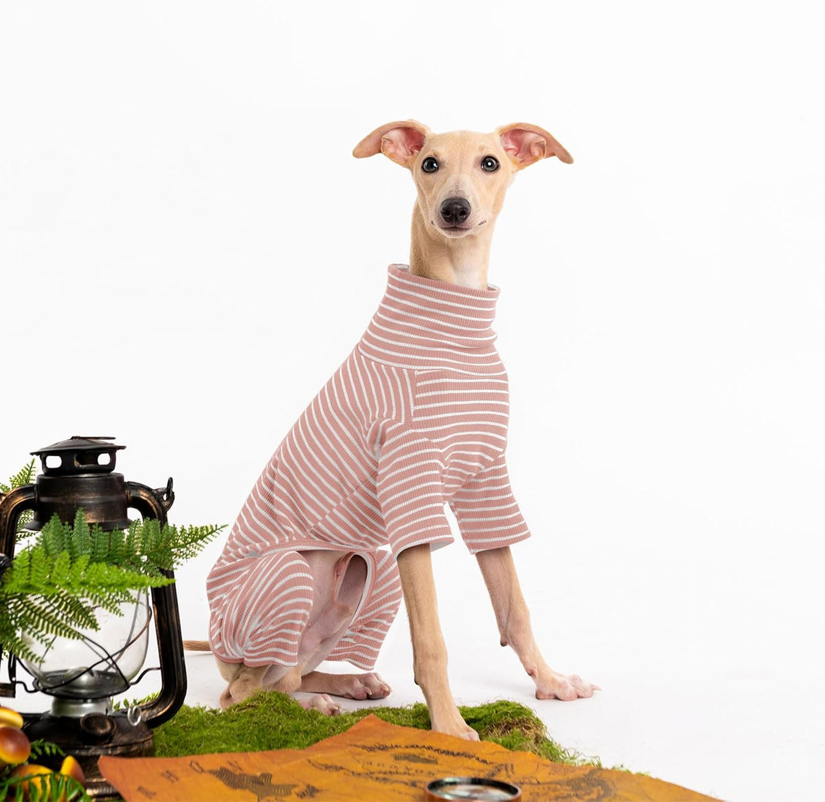 Haloumoning pullover knitwear for small dogs close up on textured fabric