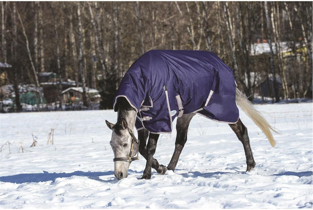 WeatherBeeta 1200 Denier waterproof horse blanket close up on buckle closures