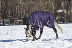 WeatherBeeta 1200 Denier waterproof horse blanket close up on buckle closures