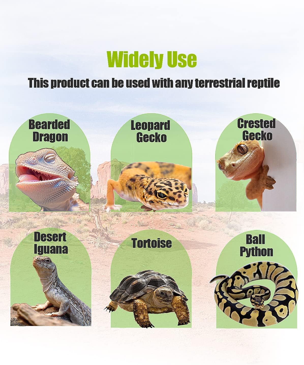 Helidrago textured reptile bedding mat trimmed to fit lizard habitat