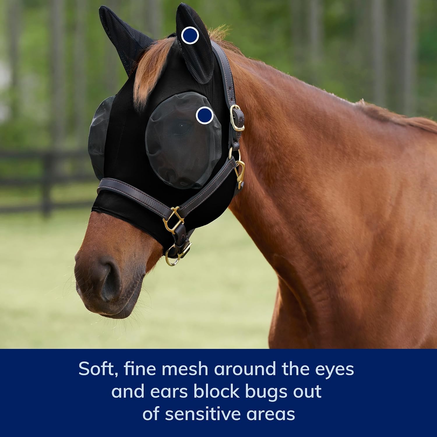 Close up of fine mesh ear protection on horse fly mask