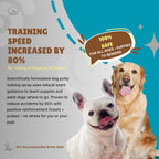 Applying dog pee training spray on outdoor grass