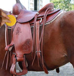 Heavy duty coarse pore leather conditioning sponges for equestrian gear.