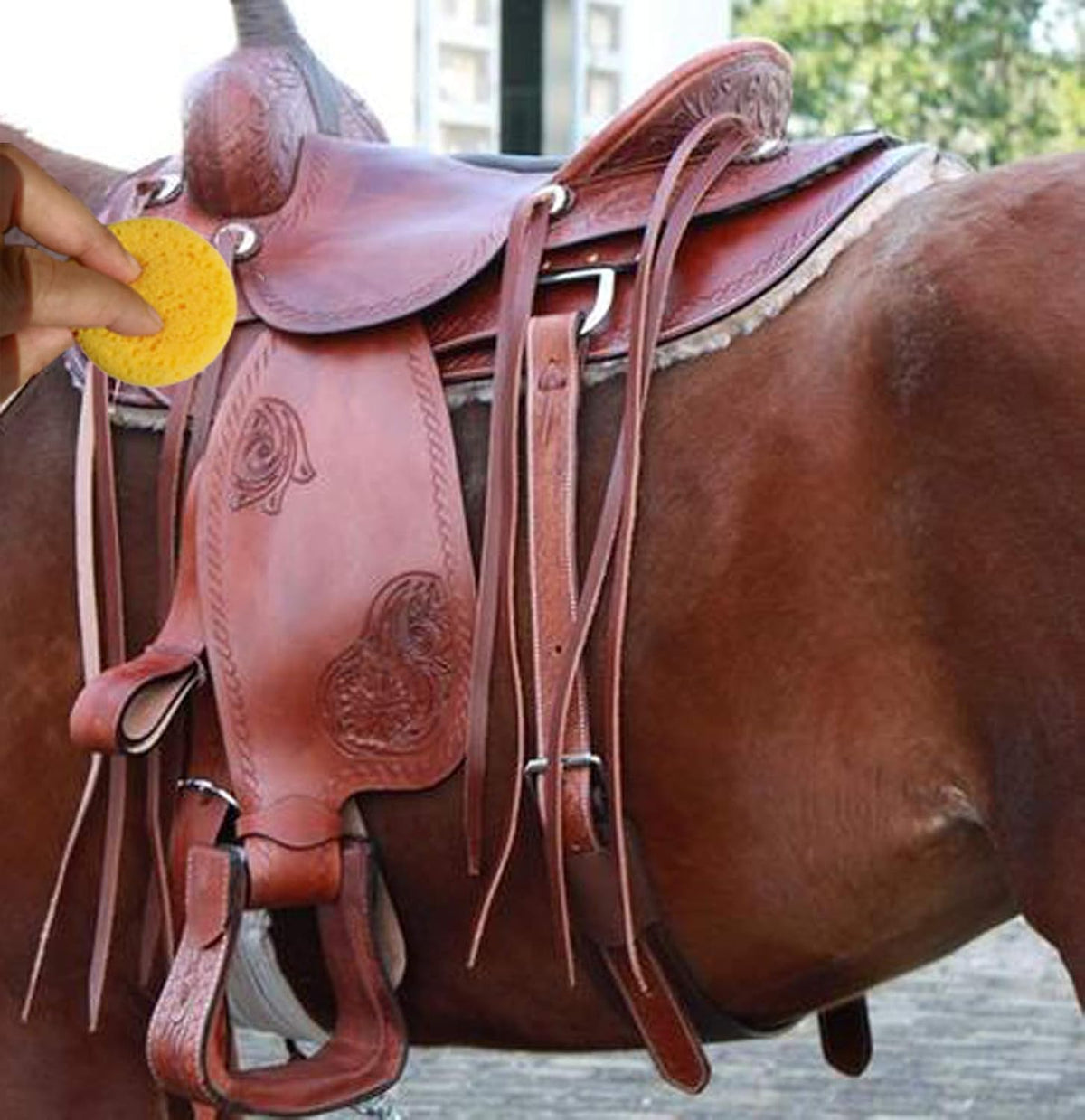 Heavy duty coarse pore leather conditioning sponges for equestrian gear.