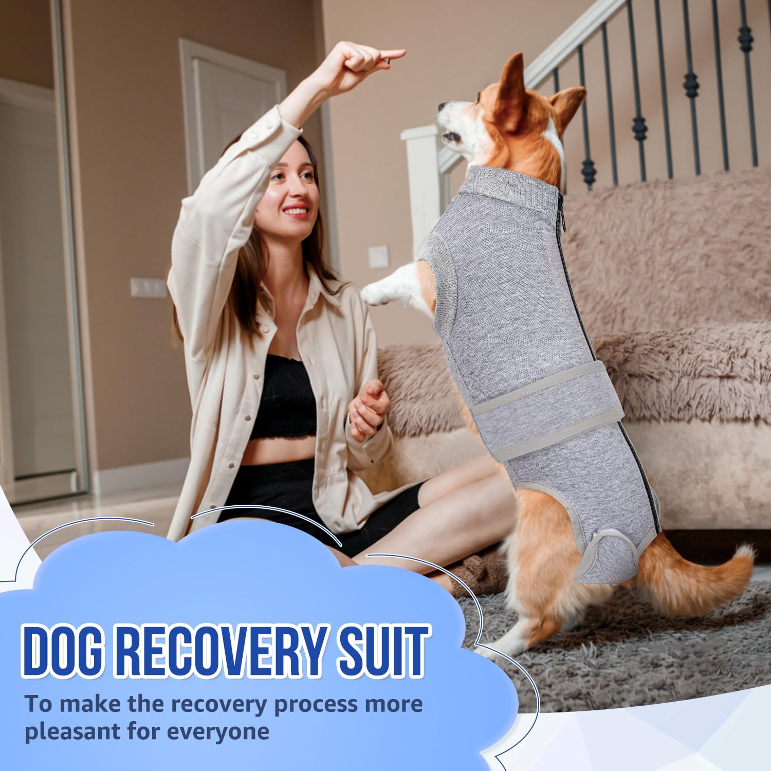 SlowTon elastic protective pet suit for abdominal bandages flat lay image