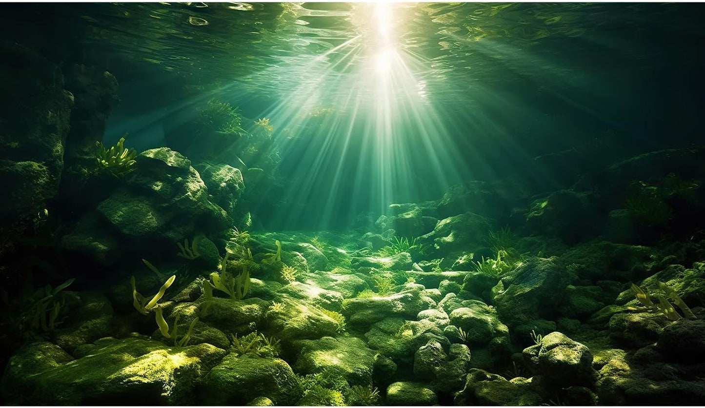 Underwater Fish Tank Background Under The Sea Cave Style Aquarium Background Ocean Floor Cave Sunlight Fish Tank Backdrop Tropical Fish Aquarium Terrarium Backgrounds Decorations 48x20in - Image 14