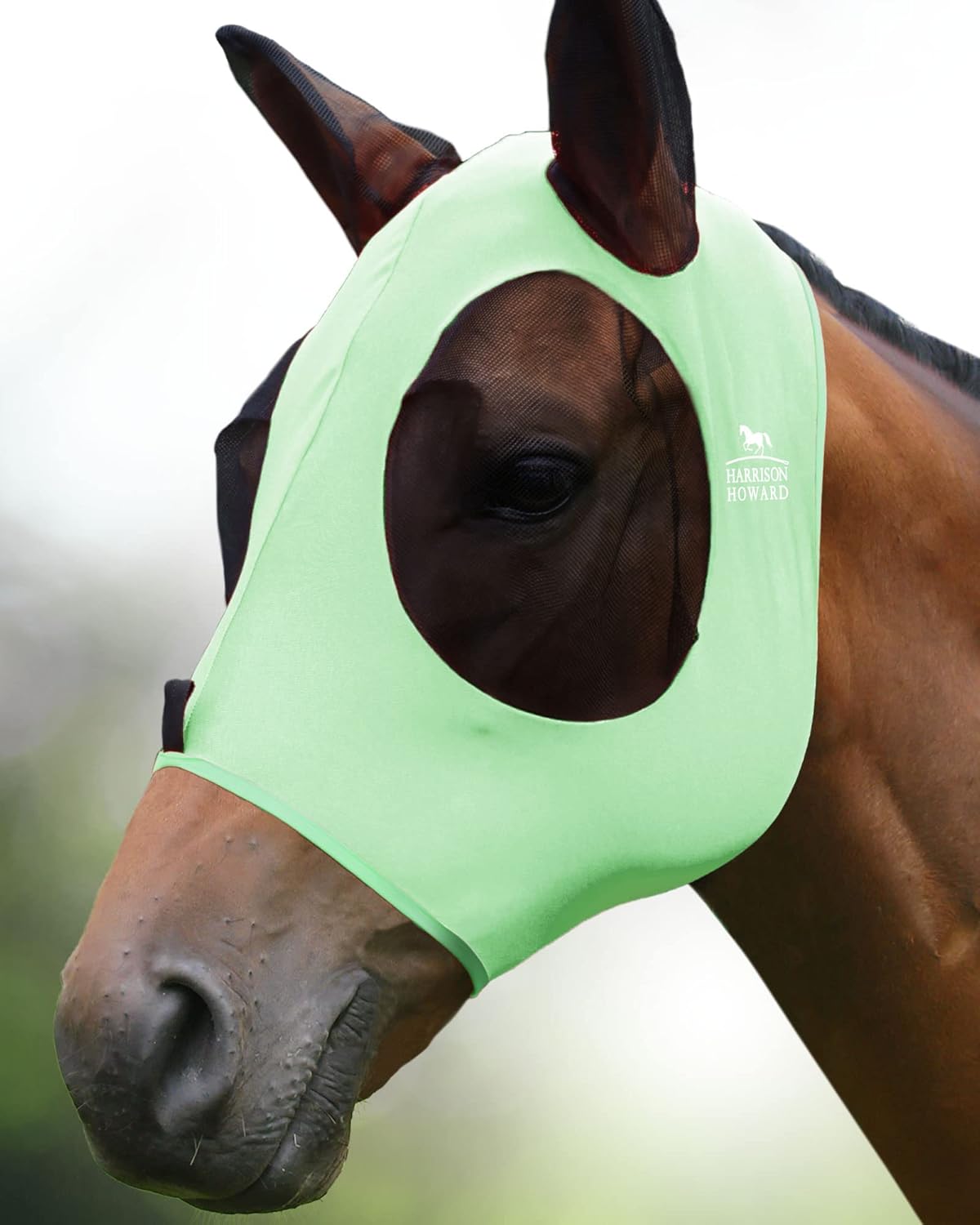 Full size horse equipment Harrison Howard fly mask packaging