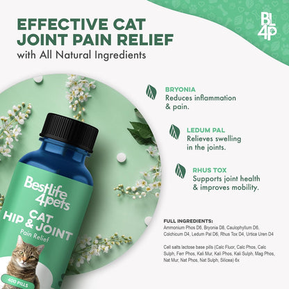 BestLife4Pets joint support for aging cats product shot