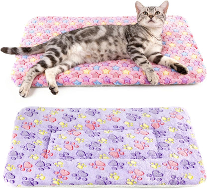 Indoor cat kneading the ultra soft surface of the premium pet blanket.