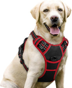 rabbitgoo Dog Harness No Pull with 2 Leash Clips, Adjustable Soft Padded, Reflective Oxford No Choke Pet Vest with Easy Control Handle for Large Dogs, Black, L - Image 14