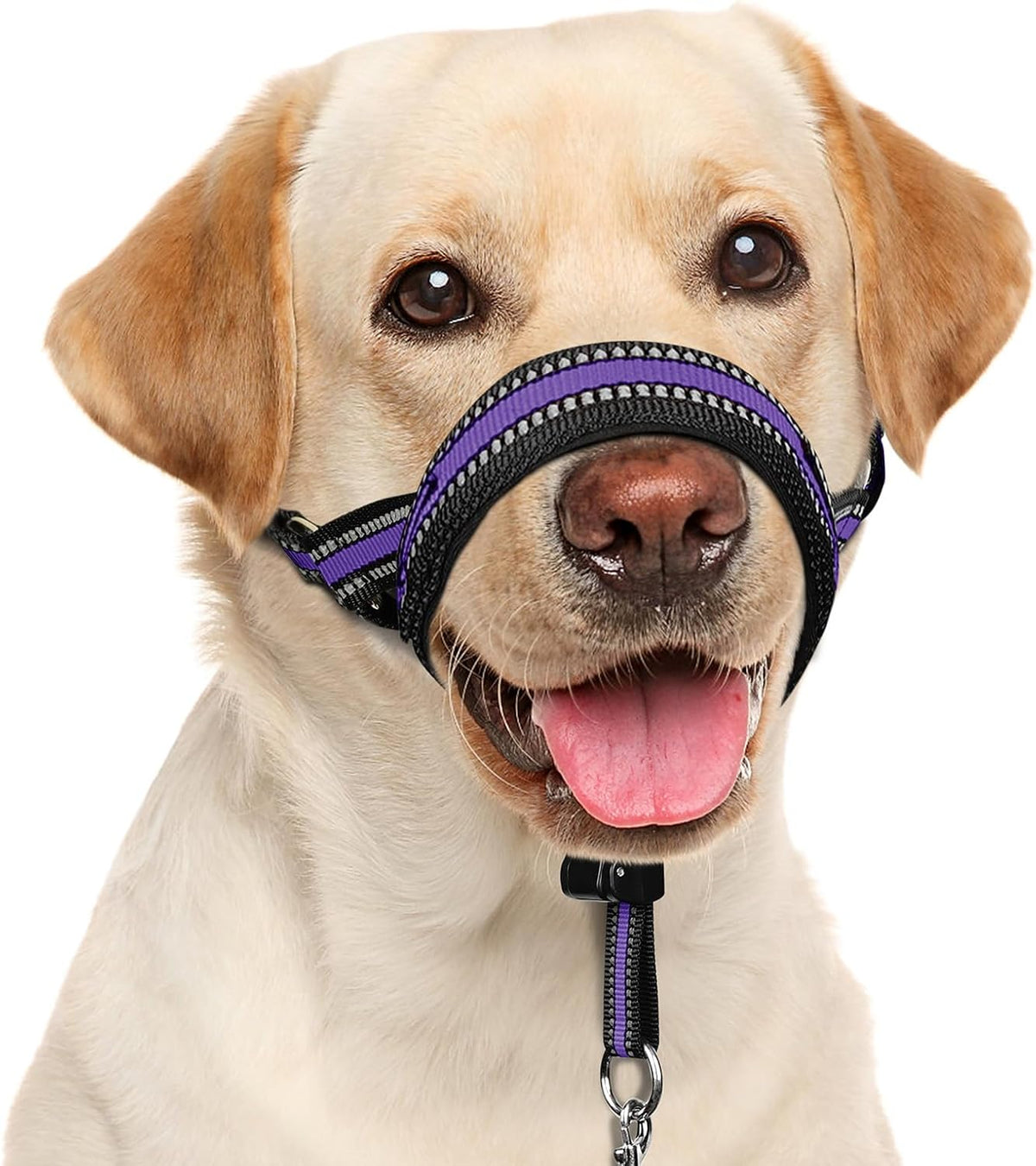 BARKLESS Soft Dog Head Collar, Patented Padded No Pull Head Halter, Training Nose Leash with Safety Link for Medium Large Dogs, Adjustable Muzzle Leash, Easy Control for Walking(Black, M) - Image 10