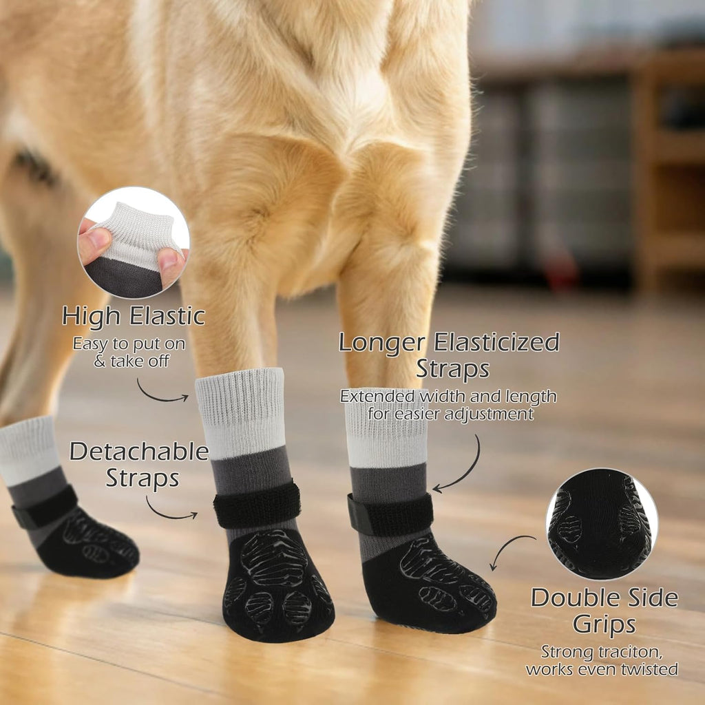 Small dog walking confidently with paw protectors