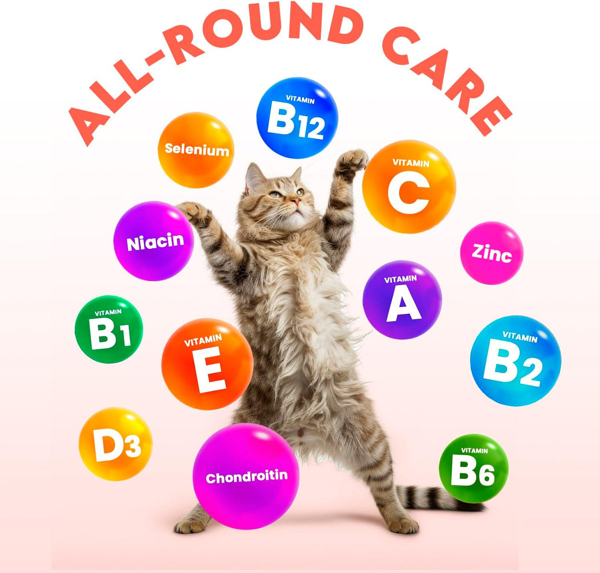 Back label of OkkÃ¶bi cat multivitamin treats detailing the 15-in-1 formulation and ingredients.
