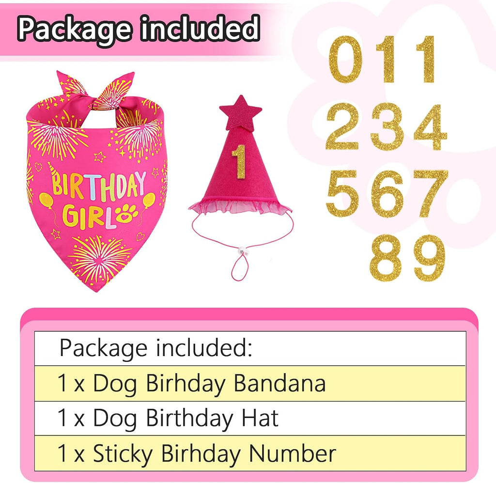 Agroon rose pink dog party bandana with birthday girl text