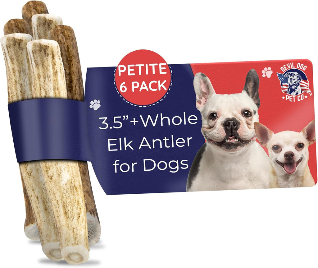 Devil Dog Pet Co. Elk Antlers for Dogs, Natural Dog Chew for Aggressive Chewers - Long Lasting and Odor Free - USA Sourced - Cleaner Teeth, Anxiety & Boredom Relief - Whole Medium 5"+ - Antler Bone - Image 14