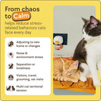Premium USA imported cat calming pheromone starter kit.
