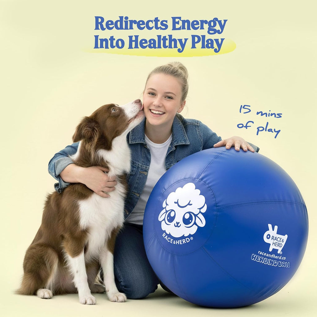 Explosion proof PVC bladder for dog exercise ball