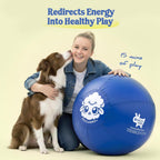 Explosion proof PVC bladder for dog exercise ball