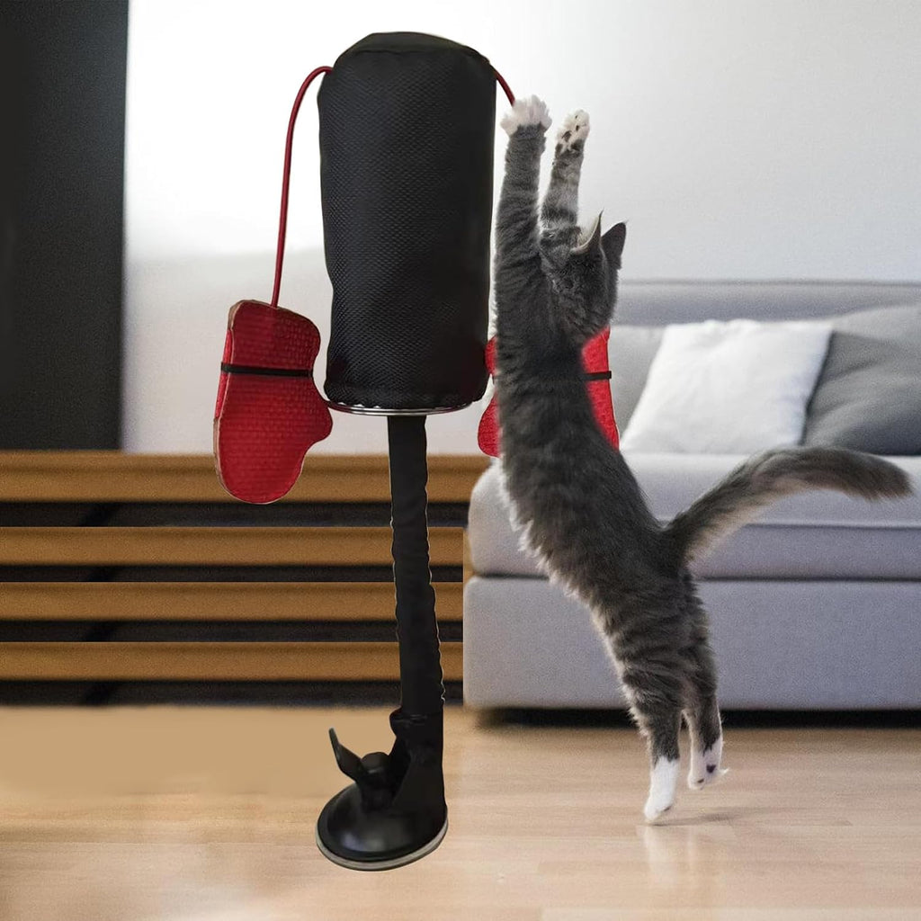 ESTCNK indoor cat fitness gym boxing bag close up view