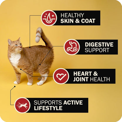 Healthy cat eating Redbarn air dried powerfood