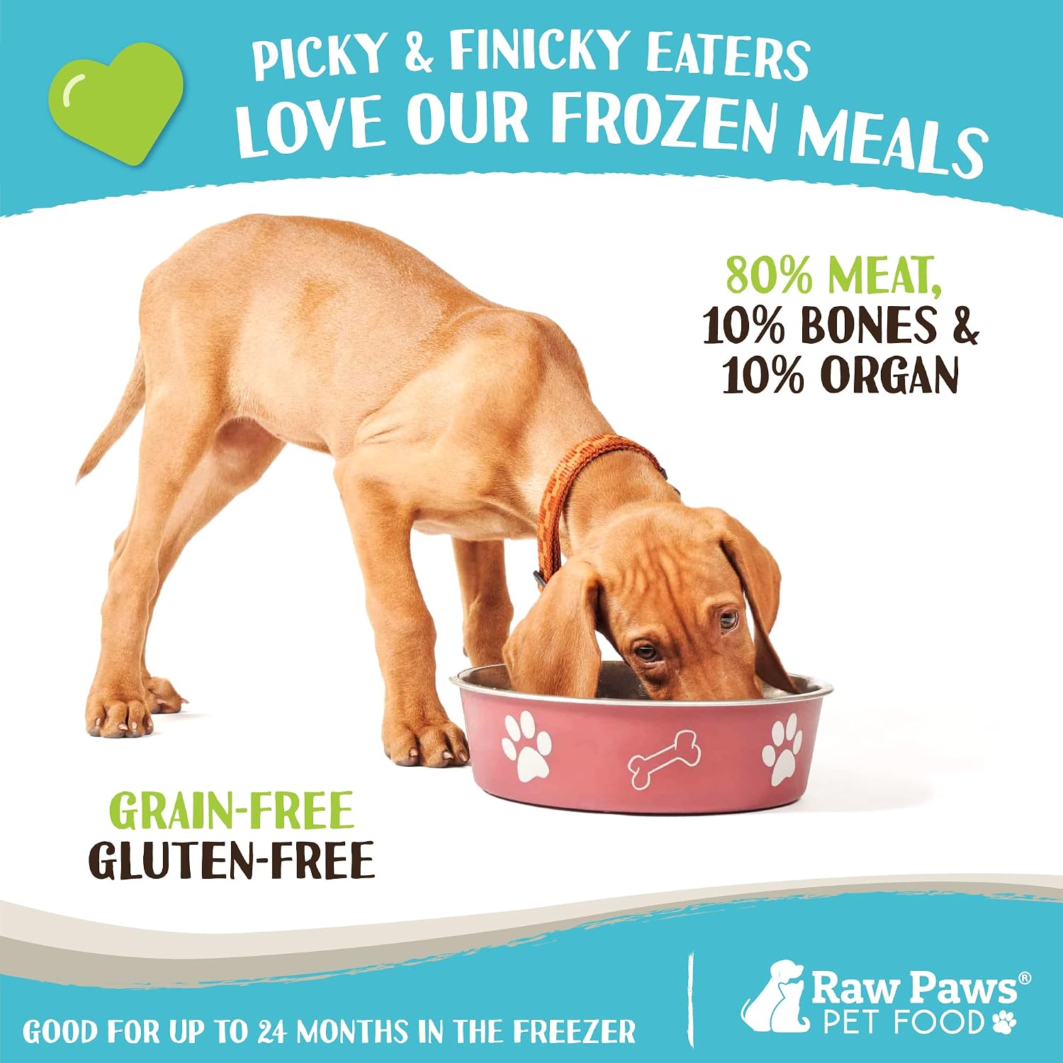 Frozen raw dog and cat food rolls in 1 pound portions