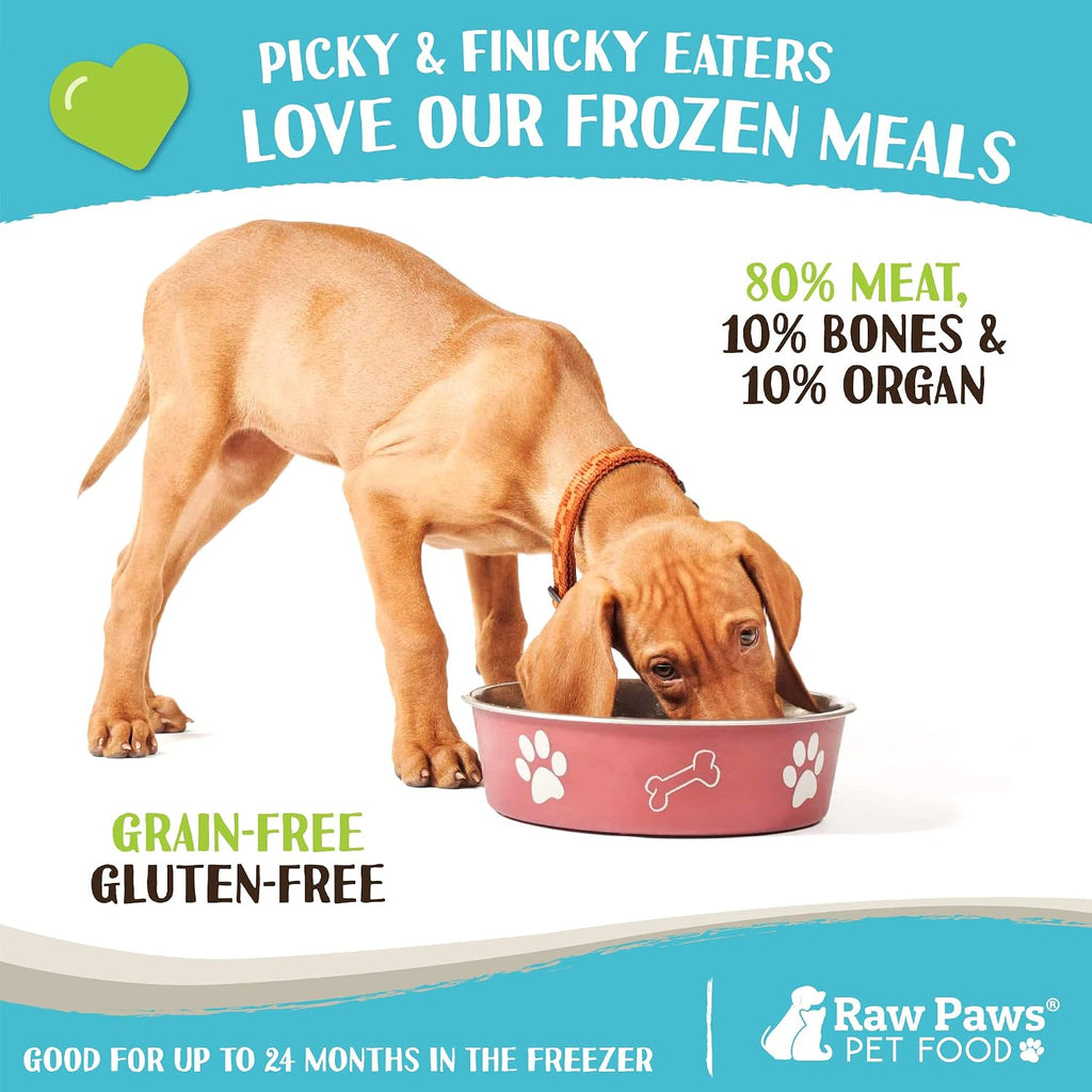 Frozen raw beef pet food rolls from Raw Paws