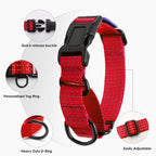 Reflective strips glowing on dog collar in dark setting