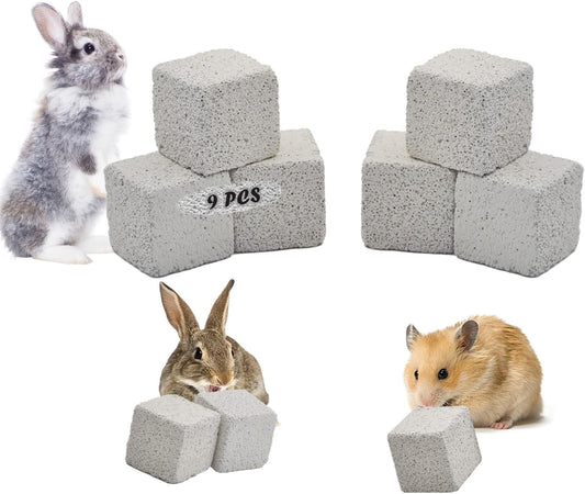PINVNBY lava blocks for chinchillas pack of nine front view