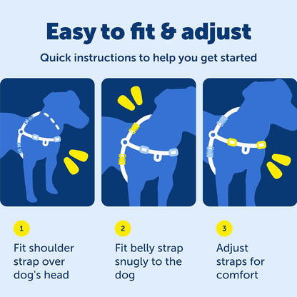 PetSafe Easy Walk No-Pull Dog Harness - Ultimate Harness to Help Stop Pulling - Pull-Free Walks - Take Control & Teach Better Leash Manners - Patented Martingale Loop Design - Black, Large - Image 9