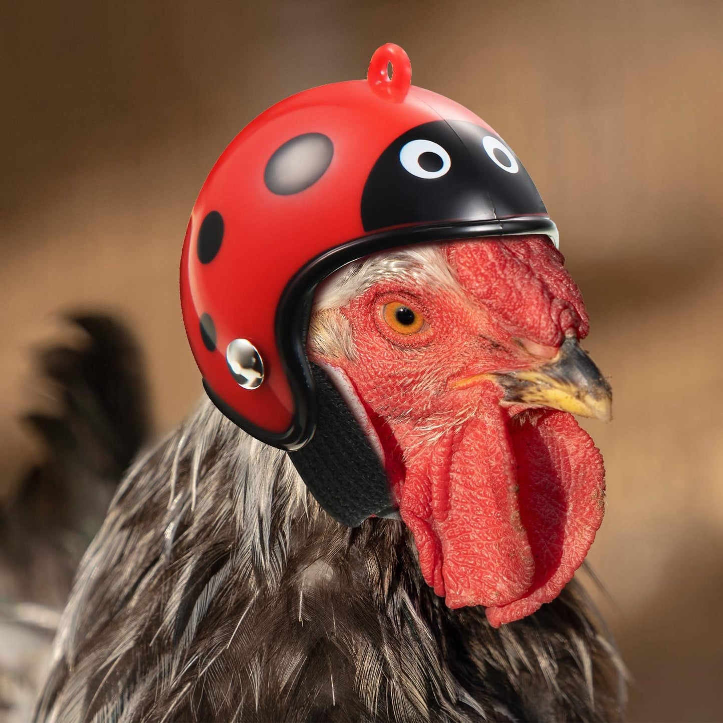 Skylety miniature bird helmet collection with animal print designs for small parakeets.
