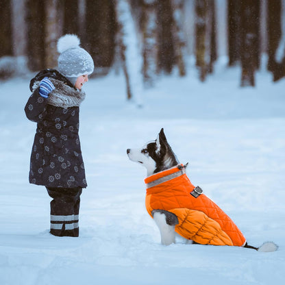 Lelepet dog coat fleece interior lining texture