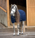 Back view of Amigo Bug Rug Plus with extended tail flap protection.