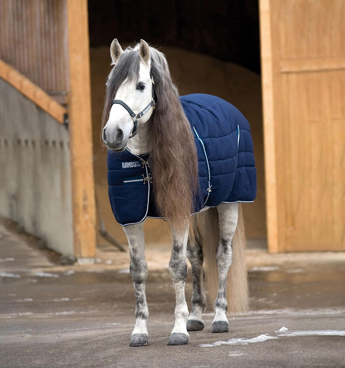 Back view of Amigo Bug Rug Plus with extended tail flap protection.