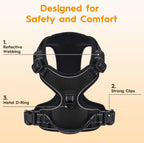 Zero Zoo safety dog harness demonstrating the 360 degree reflective strips in low light