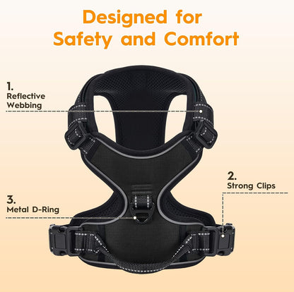 Zero Zoo safety dog harness demonstrating the 360 degree reflective strips in low light