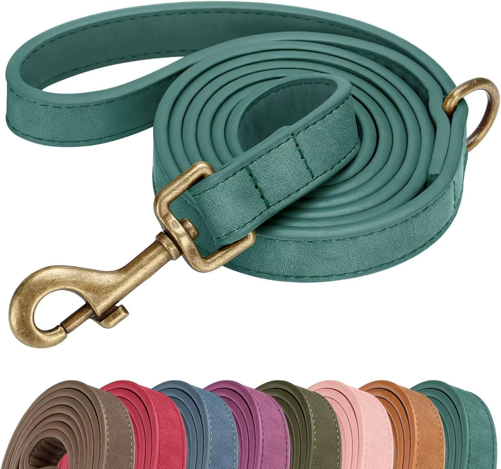 Didog heavy duty weather resistant dog training lead laid flat showing its five feet length.