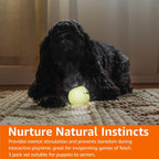 Dog playing fetch with Amazon Basics rubber ball