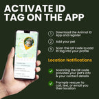 BronzeDog pet collar featuring smart QR identification tag