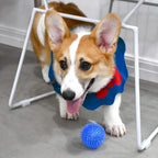 Safe non-toxic rubber dog balls for indoor and outdoor fetch